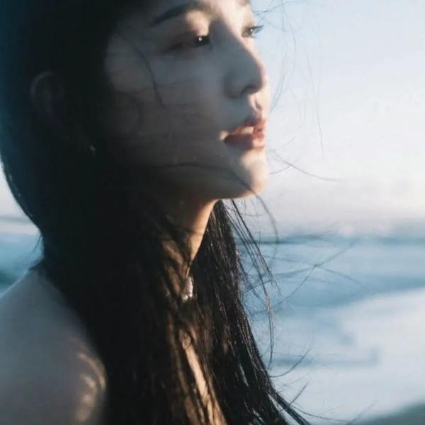 虎鲨王